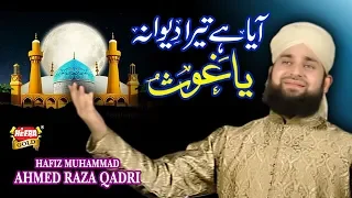 Hafiz Ahmed Raza Qadri Aaya Hai Tera Diwana Mera Koi Nahi Hai Tere Siwa  Hafiz Ahmed Raza Qadri Aaya Hai Tera Diwana Mera Koi Nahi Hai Tere Siwa