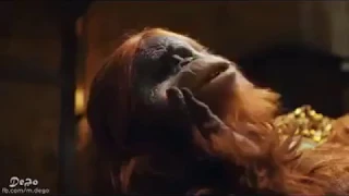 اسي اسي اسي وجرح احساسي 2018 