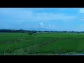 Indonesian Countryside, East Java (throughout Ngawi - Kertosono Toll road), December 2022.