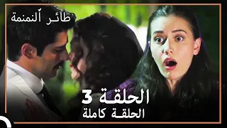 طائر النمنمة الحلقة 3 