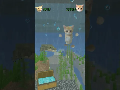Help Cat in minecraft🥹 Minecraft animation