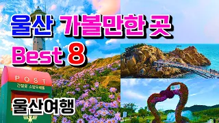 놓치면 후회할 여행지 울산 가볼만한곳. 대왕암공원, 태화강국가정원&십리대숲. 장생포. 간절곶. 울산대공원. 신불산. 슬도. 주전몽돌해변 썸네일