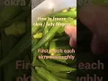 Download Lagu How to store your Okra / Lady Fingers / Pindhi - freezing your veg!