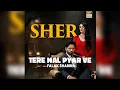 Download Lagu Tere Nal Pyar Ve | SHER OST 2 | Danish Taimoor | Sehar khan | Falak shabbir