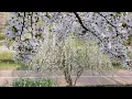아이처럼(가사)/김동률 (feat.알렉스)