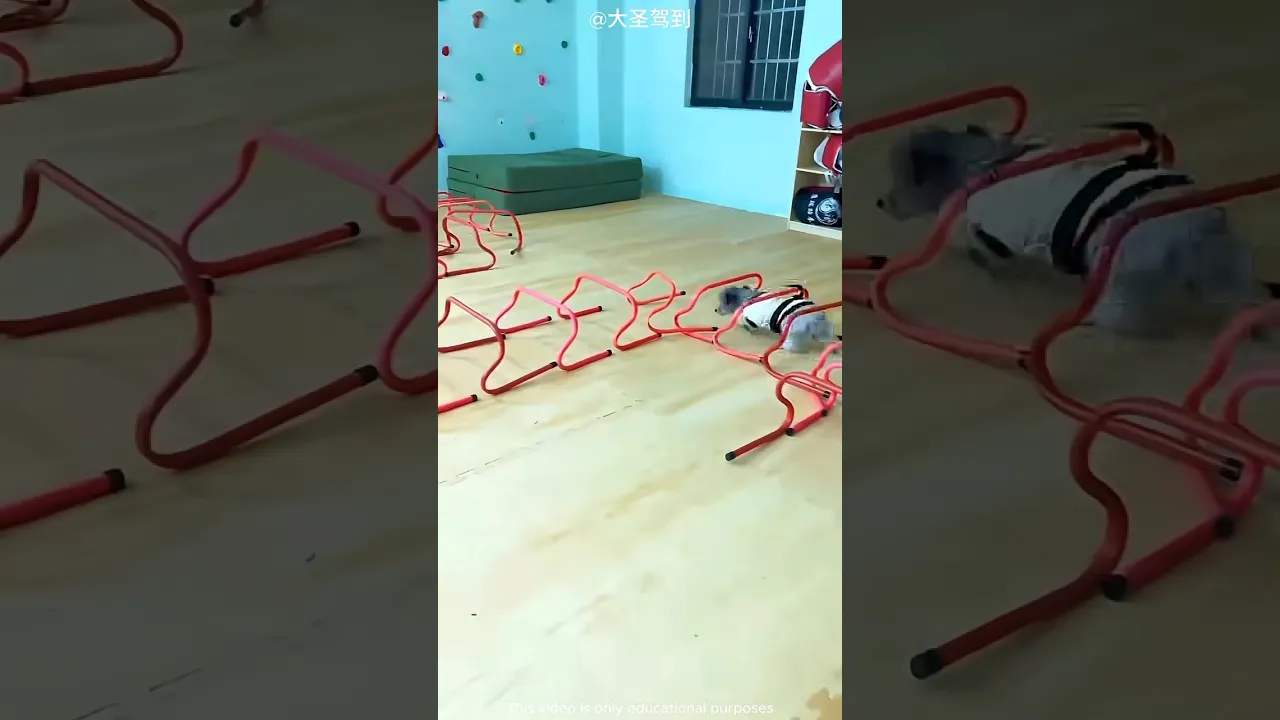 #bts