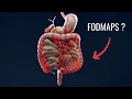 The Low FODMAP Diet Beginner s Guide
