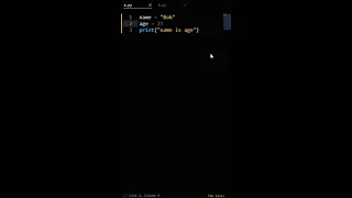 Python Printing Variables Common Mistake