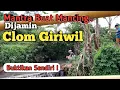 Download Lagu Mantra Mancing Clom Giriwil || Mancing Wader Di Alam Indonesia