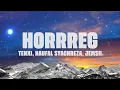 Lagu Tenxi, Naufal Syachreza, Jemsii - hoRRReg (Lirik Lagu)