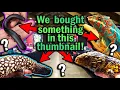 Attending the Reptile SUPER Show in Pomona California