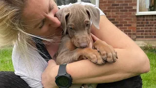 Episode 110   Pickles Winter Berth and a New Salty Sea Dog!