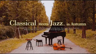 [𝓟𝓵𝓪𝔂𝓵𝓲𝓼𝓽] 가을..🍂첼로 ,바이올린, 피아노 그리고 고급스러운 JAZZ🍁