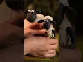 Download Lagu Shaun the Sheep: Whilst the Animator's Away... 😉😊