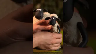 Shaun The Sheep Whilst The Animator S Away  Shaun The Sheep Whilst The Animator S Away