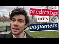 Predicates arity and vagueness 02 02
