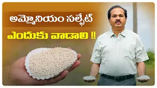 అమ్మోనియం సల్ఫేట్ ఎందుకు వాడాలి !! #manaraithumanasalahalu #coromandel #managromor #agriculture