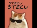 Stecu Stecu