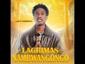 Lagrimas em Nambuangongo