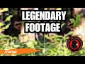 The Plot Watcher Bigfoot Scott Carpenter s Famous Evidence That Brought Finding Bigfoot to Knoxville