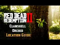 Clamshell Orchid - Location Guide Red Dead Redemption 2