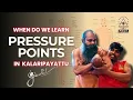 When do we Learn MARMA or Pressure Points In Kalaripayattu Gurukkal Agasthyam Kalaripayattu