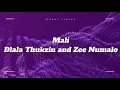 Download Lagu iMali (Lyrics) - Dlala thukzin ft Zee nxumalo \u0026 Sykes