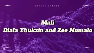 imali lyrics dlala thukzin ft zee nxumalo u0026 sykes