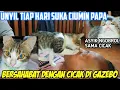 Download Lagu Kucing Ini Suka Cium Papa Enderiza, Namanya UNYIL Hobinya Ngobrol Sama Cicak Di Gazebo 😁😜🤭