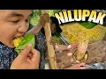Download Lagu NILUPAK