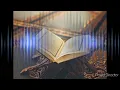 Download Lagu Surat Al-Anfal by Syeikh Hani Ar-Rifa'i