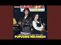 Download Lagu Pupusing Nelongso