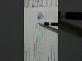 Class 8th Computer Chapter 5 Introduction to Java and BlueJ 2020