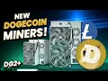 Dogecoin Mining Surging - Elphapex DG2 DOGE Miner Review