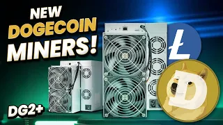 Dogecoin Mining Surging - Elphapex DG2 DOGE Miner Review
