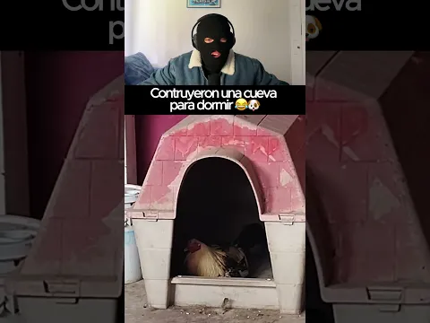 El verdadero alfa se quedó con la casa 😂