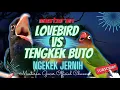 Download Lagu LOVEBIRD VS TENGKEK BUTO Ngekek Panjang - Masteran Handal