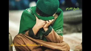 الشيخ محمد منتصر الدح   أنتم فروضي ونفلي أنتم حديثي وشغلي ياقبلتي في صلاتي دندنها