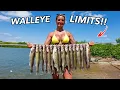 Walleye Fishing New Waters w NONSTOP ACTION Catch And COOK