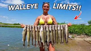 Walleye Fishing New Waters w NONSTOP ACTION Catch And COOK