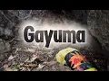 Lagu Gayuma ( part 1 )