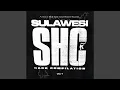 Download Lagu Self Destruction