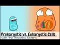 Prokaryotic vs Eukaryotic Cells Updated