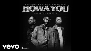 shaunmusiq u0026 ftears x daliwonga howa you official audio 