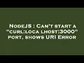 NodeJS Can t start a curl localhost 3000 port shows URI Error