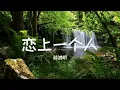〖原唱〗游鸿明《恋上一个人》Chris Yu - Falling in Love with Someone
