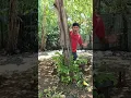 Lagu video lucu bikin ngakak hiburan warga+62 mau ketawa takut dosa funny video viral video