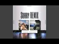 Download Lagu Sorry (feat. Kouichi Arakawa) (Remix)