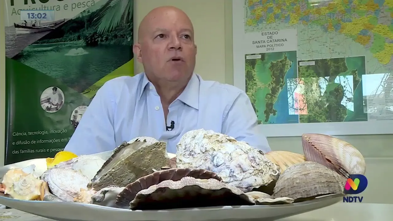 Série da NDTV 'Mar e Cultura' conta a história da maricultura em SC