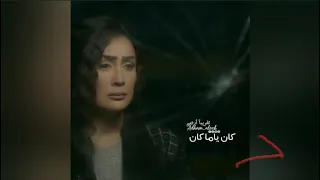 أصالة نصري داكان يامكان فلانة فلان وحيده وقلبها بردان حالات واتساب دندنها